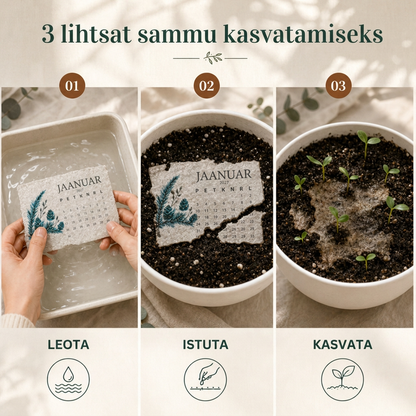 🌱 2027. aasta külvikalender 🌥️ – Üks ilu aasta, uus elu igal lehel! 💙